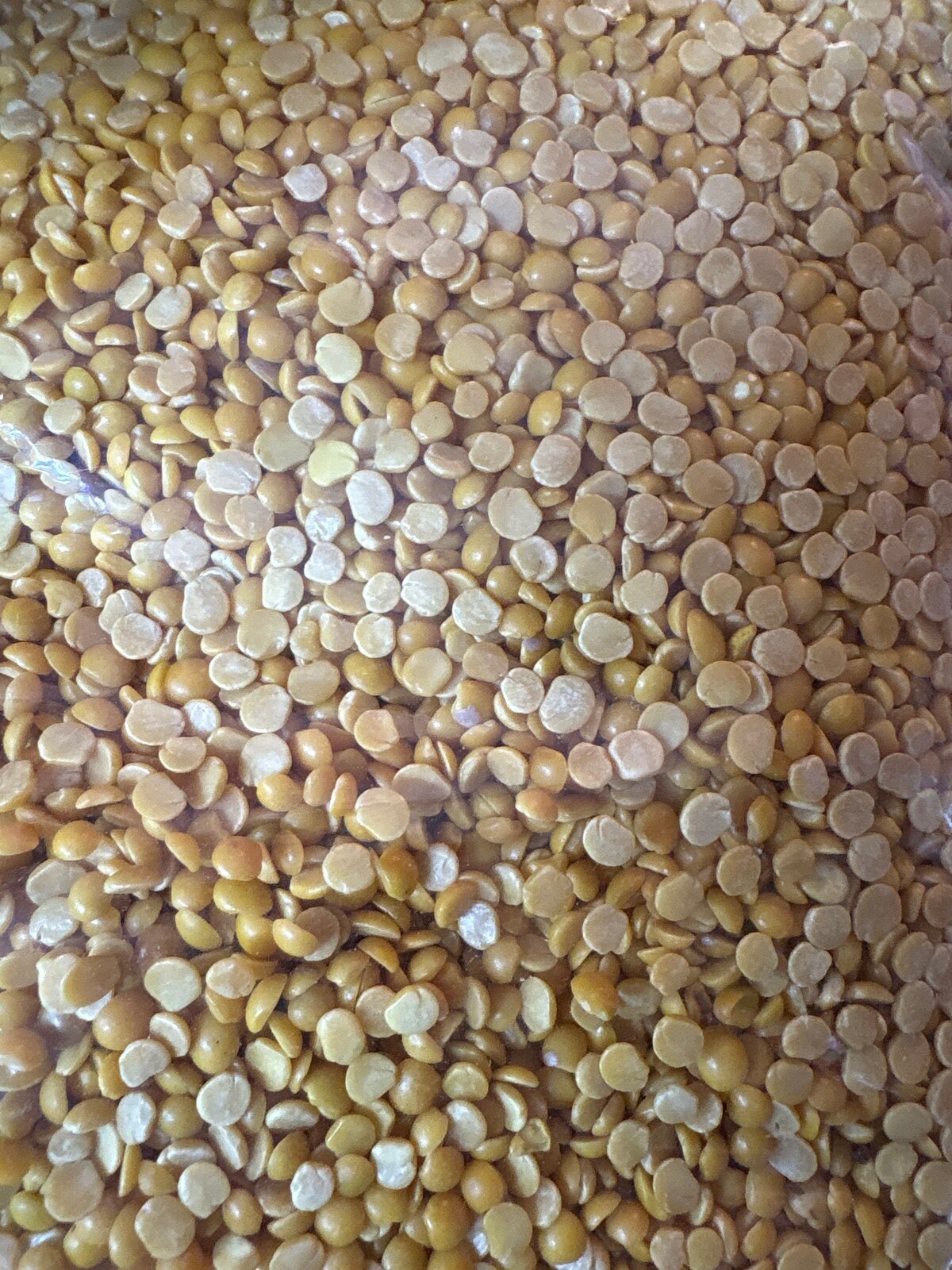 Arhar (toor) dal