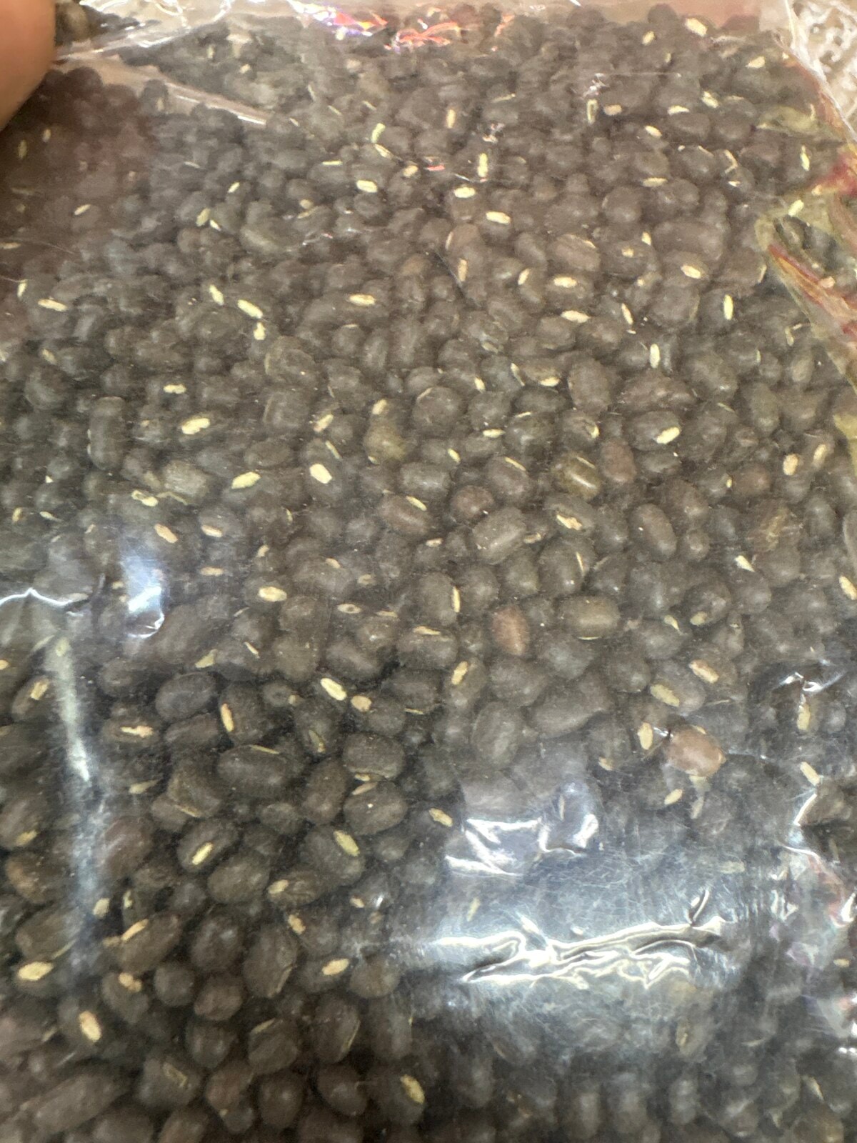 Urad saboot