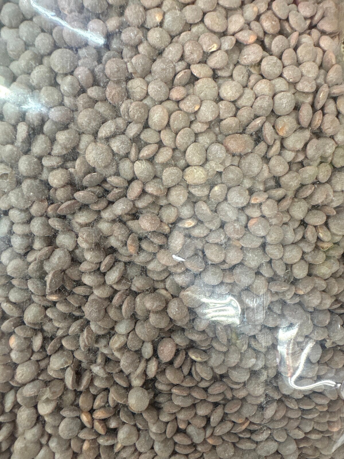 Black Masoor