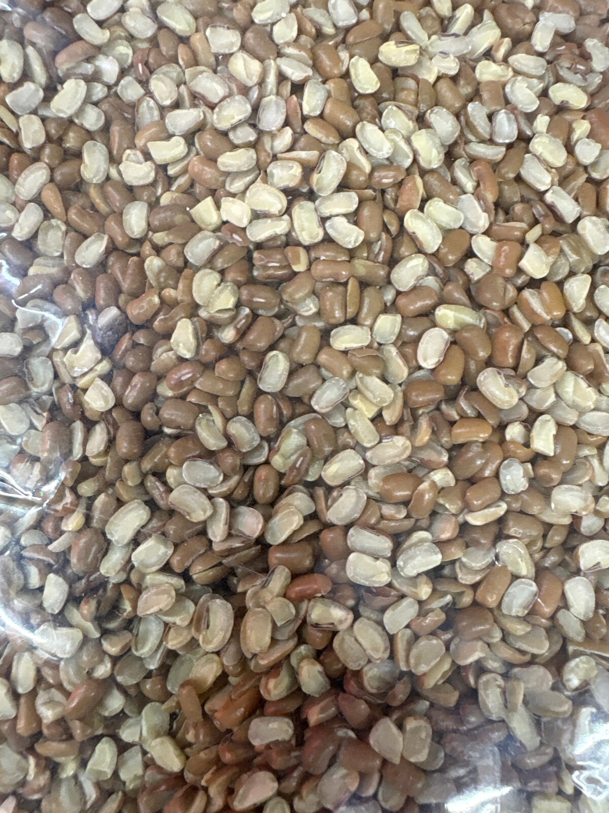 Moth chilka