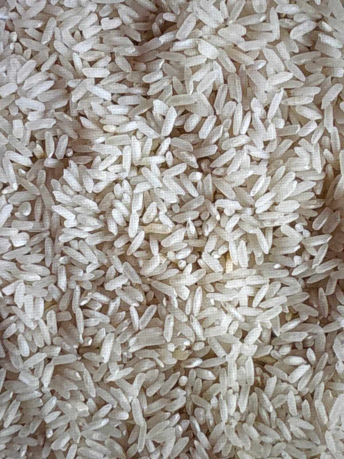 1kg parmal