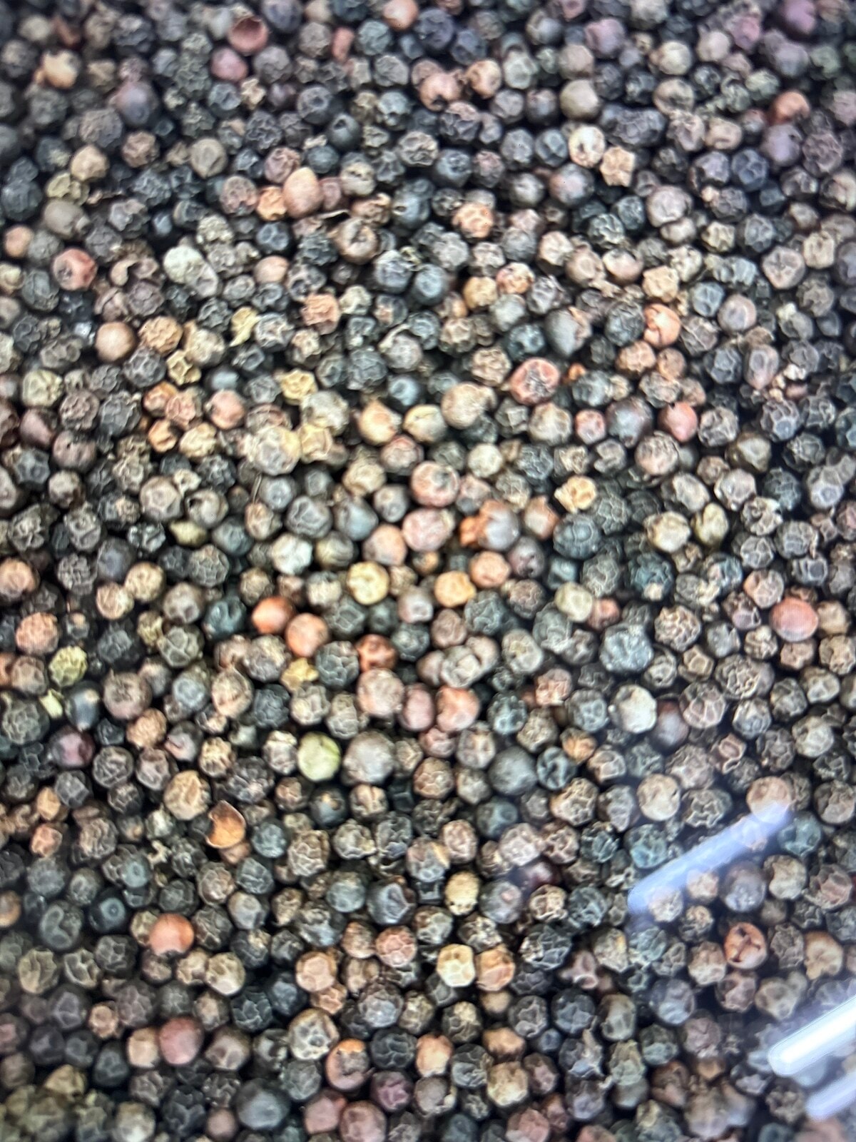 Black pepper whole 100gm