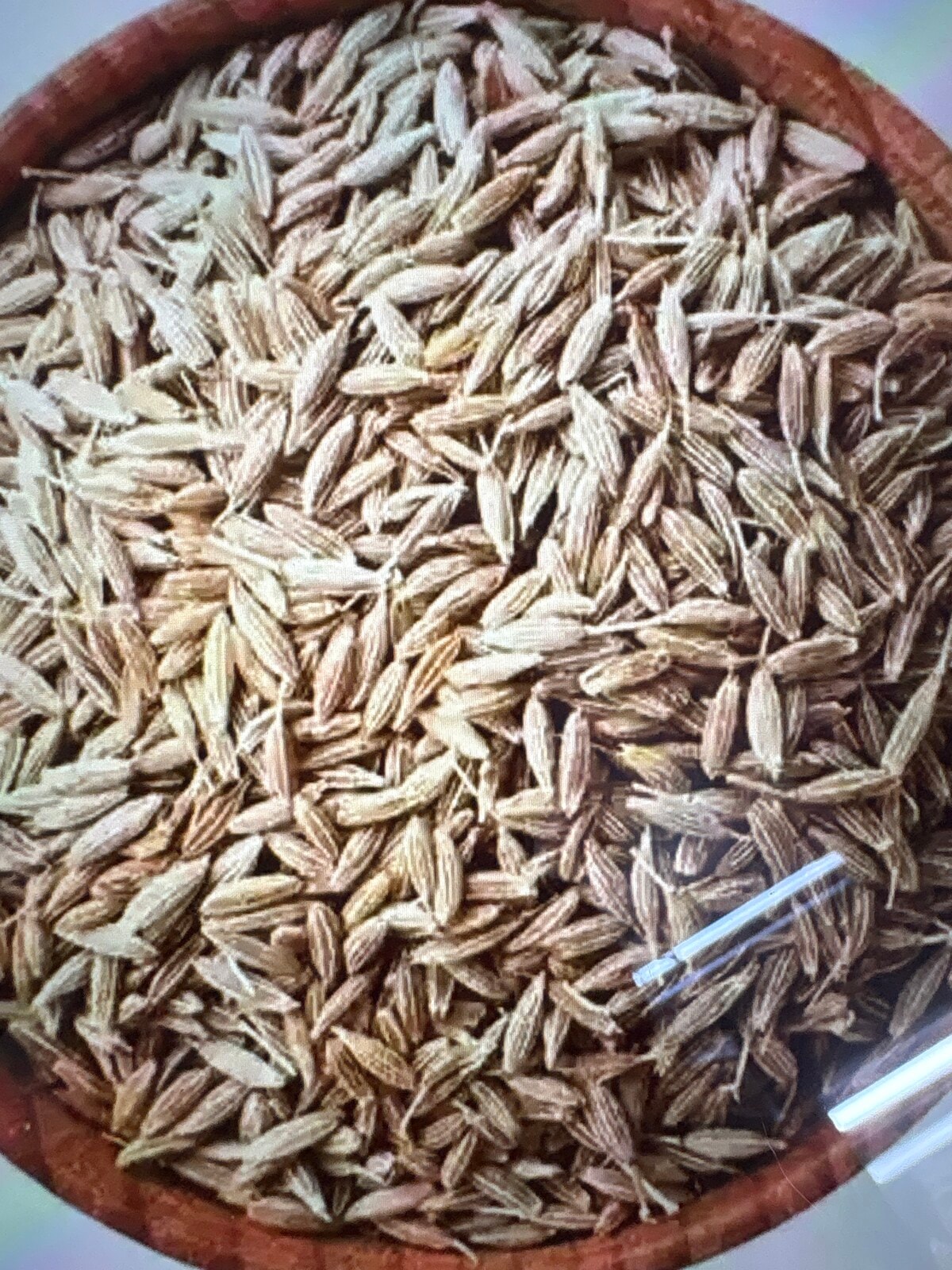 250gm jeera